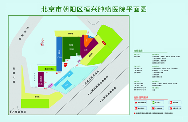 啊啊受不了啦慢一点日死我啦太爽了用力北京市朝阳区桓兴肿瘤医院平面图